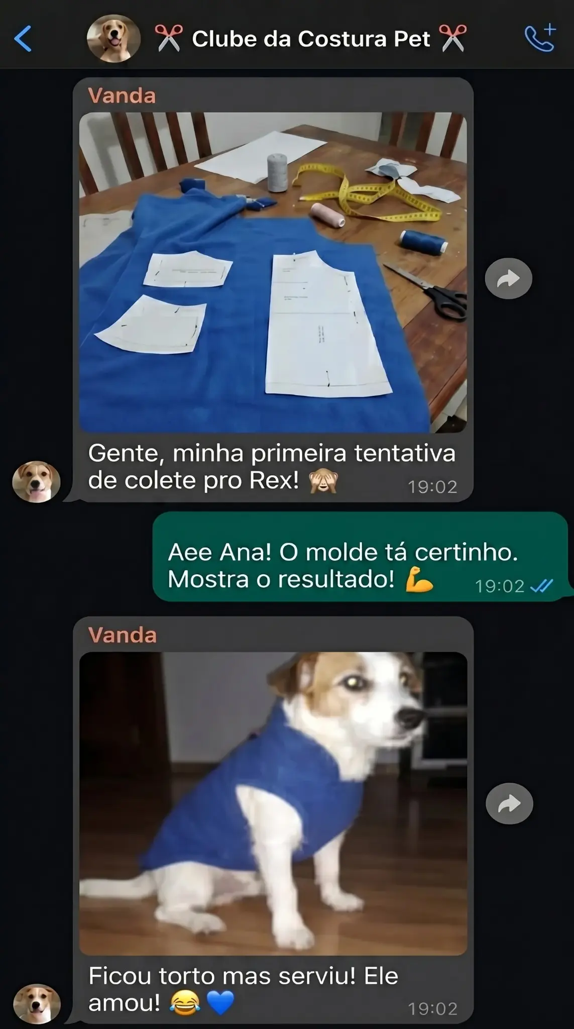 Print de WhatsApp com cliente mostrando molde e roupinha pet pronta